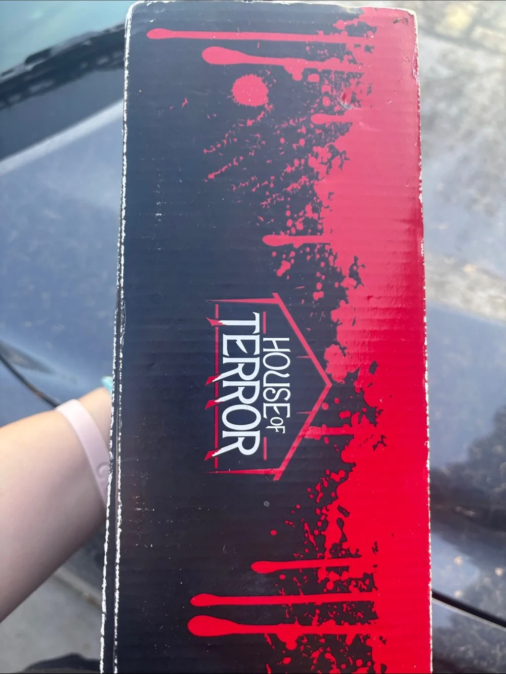 House of terror vans